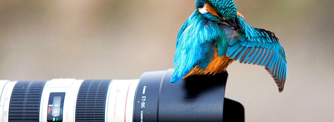 Sunucu Üzerinde imagick Kurulumu