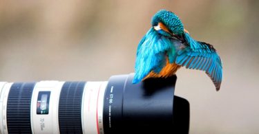 Sunucu Üzerinde imagick Kurulumu