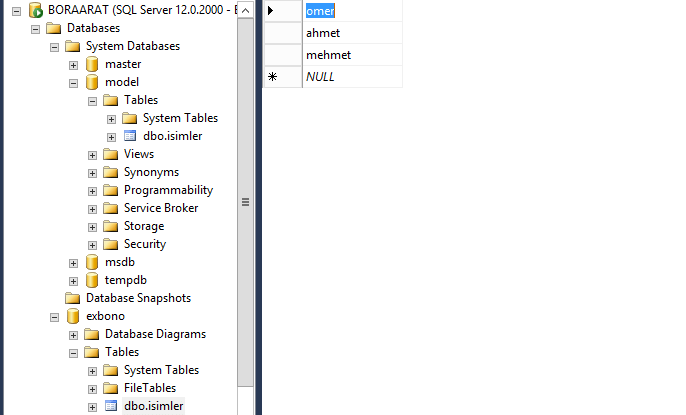 model database içerisine bir tablo oluşturuyoruz
