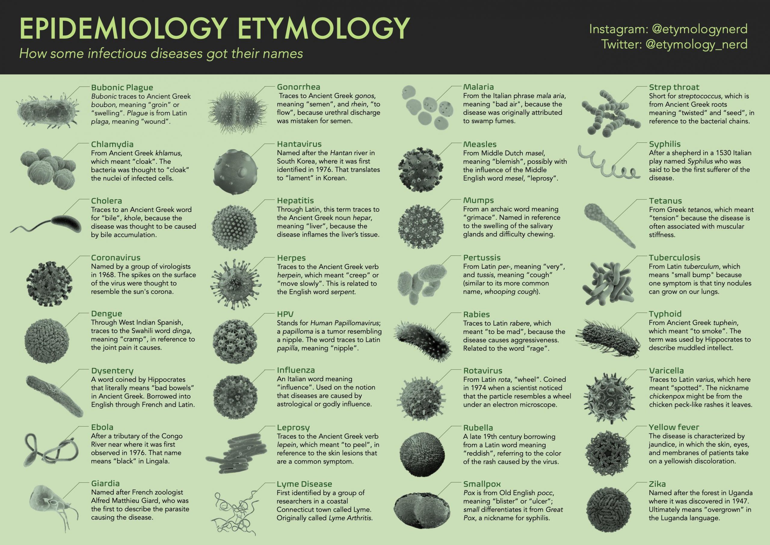 Epidemiology Etymology Bora Arat Ki isel Web Blogu