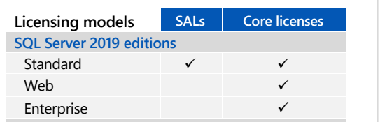 SPLA dokümanından SQL Server 2019 sürümlerinin SAL ve Core lisans modelleri tablosu