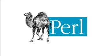 Perl programlama dilinin deve logosu ve Perl yazısı
